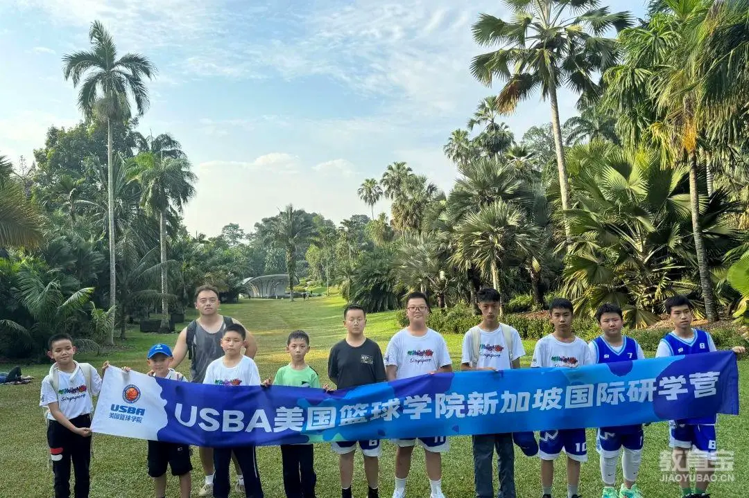 职业球员如何通过联赛提升竞技水平_1